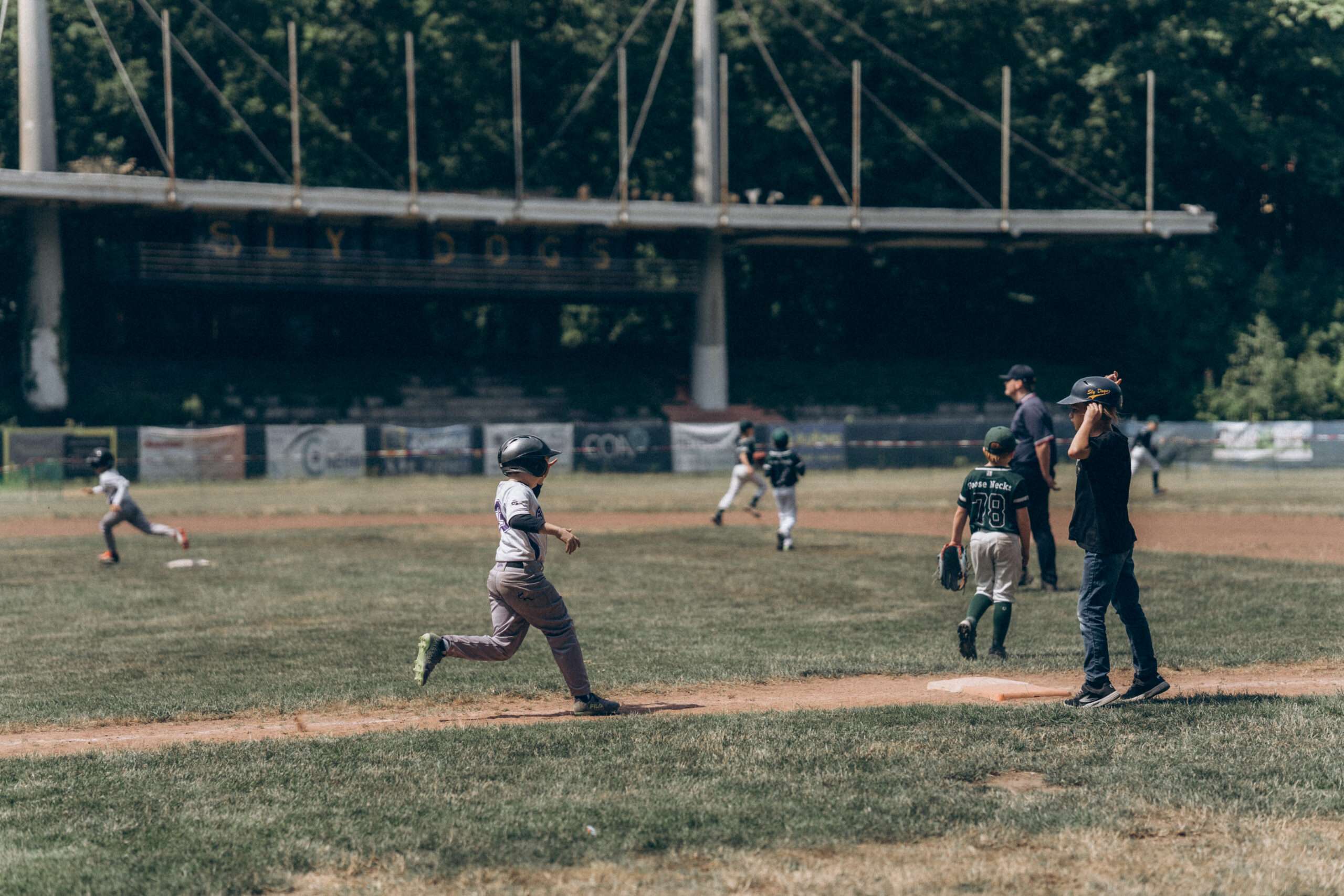 Vom Ballpark bis ins Klassenzimmer – Die Barflies in Aktion